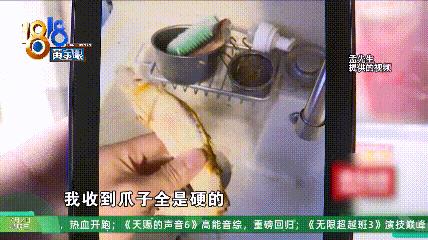 DƬ